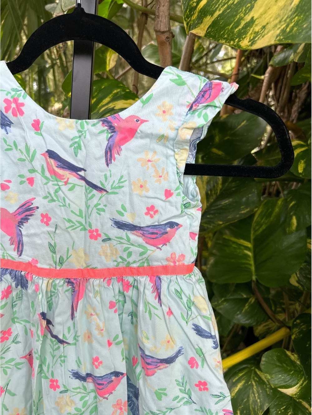 Cherokee Girls 4T Bird Print Dress with Ruffle Sleeves